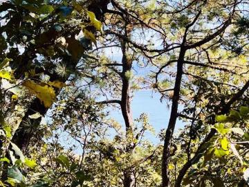 Terreno en venta 4