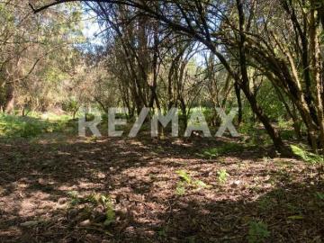 Terreno en Venta 4
