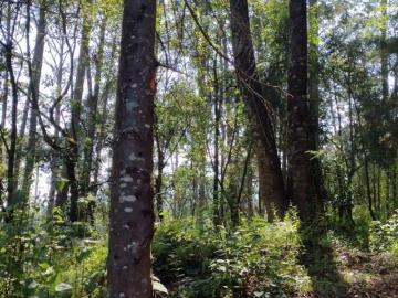Terreno en Venta 4
