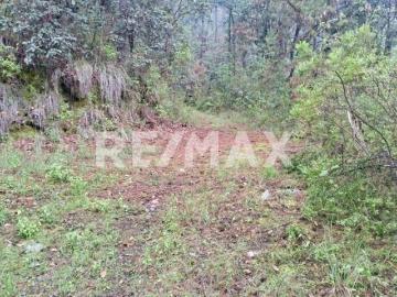 Terreno en Venta 4