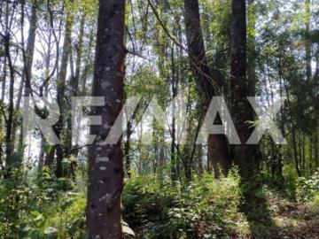 Terreno en Venta 4