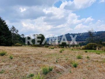 Terreno en Venta 4
