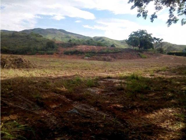 Terreno en Venta 4 Hectáreas ubicado en Montalban Carabobo WC 10058480
