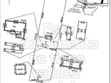Terreno en venta 6ha precio $600m2 con cenote Mérida Yucatán 4