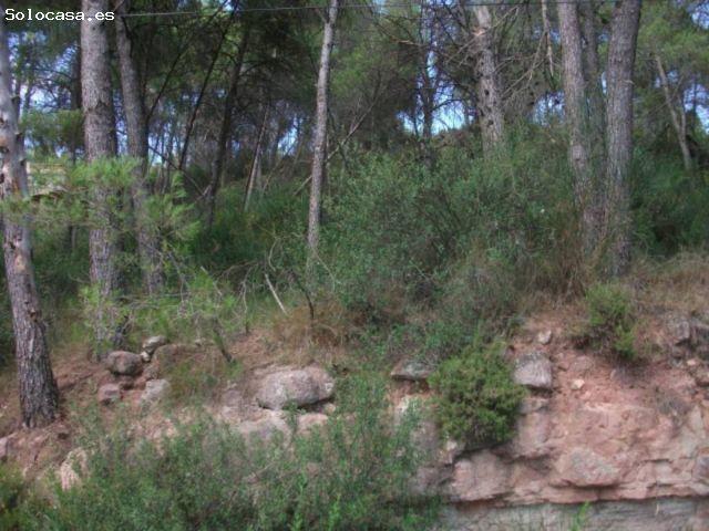 TERRENO EN VENTA
