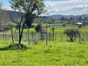 Terreno en Vichuquén