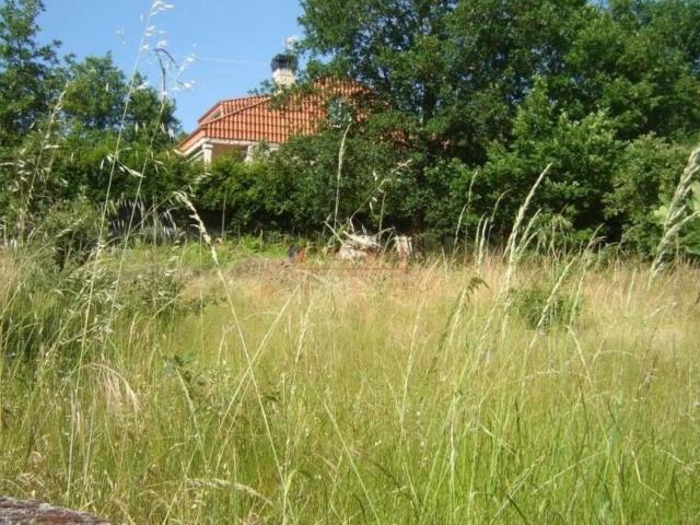 TERRENO EN VILAR