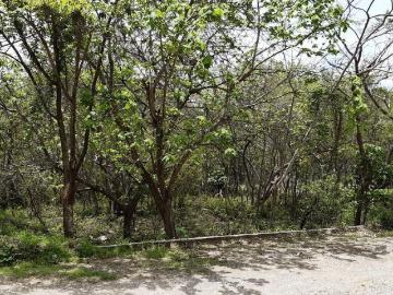 Terreno en Villa Esmeralda, Berriozabal