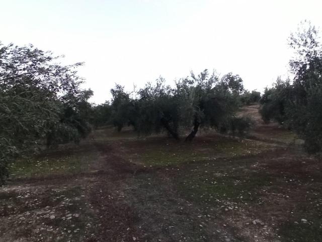 Terreno en Villatorres, al sitio de Pozo de la Teja