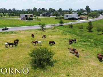 Terreno en Viñedos del Polo el Marques Queretaro Campestre