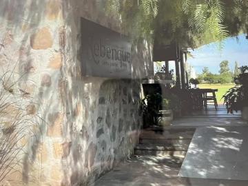 Terreno en Viñedos del Polo