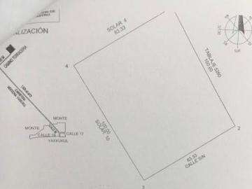 Terreno en Yaxkukul Yucatán – Precio de Oportunidad y Facilidades de Pago