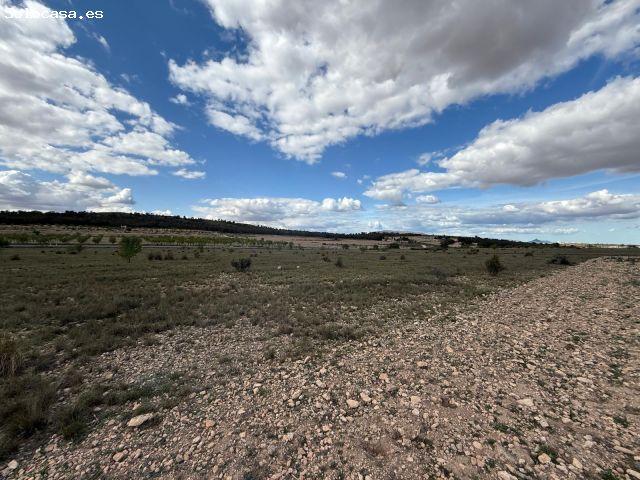 Terreno en Yecla sin agua