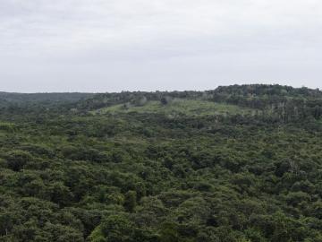 Terreno en zoh laguna campeche a pie de carretra