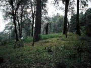 Terreno en zona boscosa, Sierra Encantada, Huitzilac, Morelos