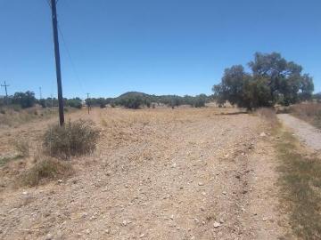 Terreno en 1.1 Hectáreas en venta todo o en Zempoala zona Téllez