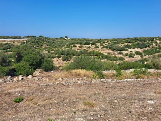 Terreno, Es Migjorn Gran