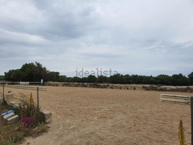 Terreno, Es Castell