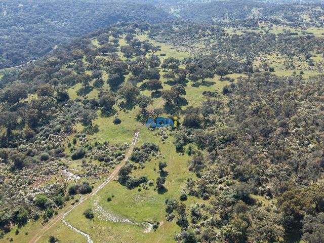 Terreno, Escalos de Cima e Lousa, Castelo Branco | BPI Expresso Imobiliário
