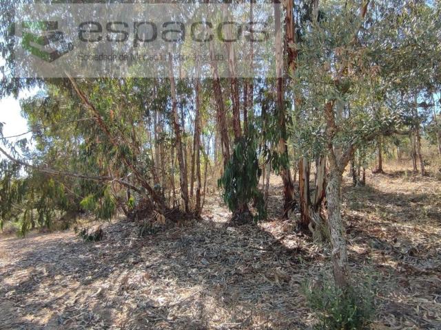 Terreno, Escalos de Baixo e Mata, Castelo Branco | BPI Expresso Imobiliário