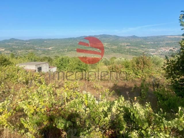 TERRENO ESCURQUELA