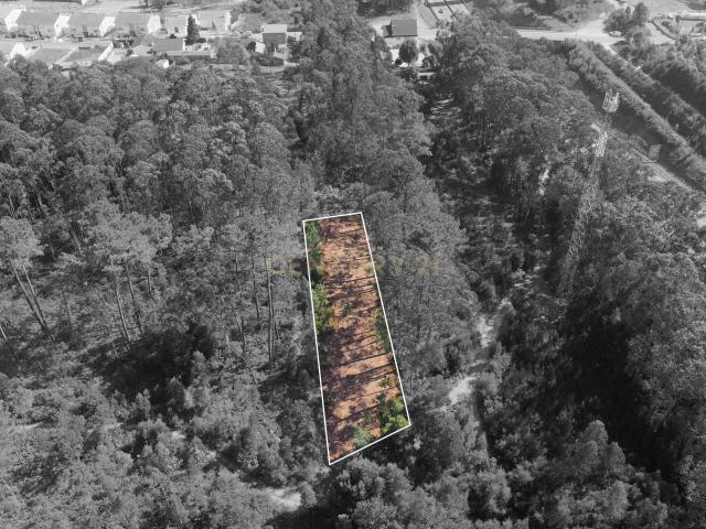 Terreno Espetacular em Aveiro, 1200m² por 15500€