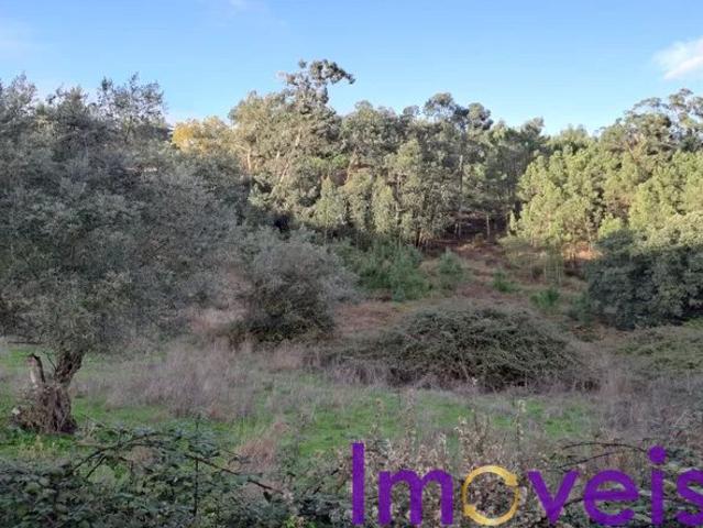 Terreno 16.760m2 Loures | 15min Lisboa | Água Nascente | Projeto Quinta/Loteamento