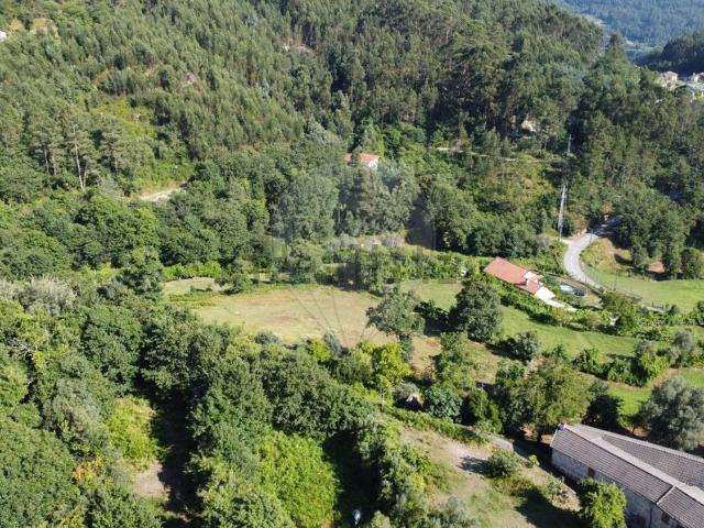 Terreno, Esperança e Brunhais