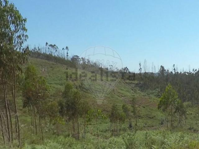 Terreno, Espite