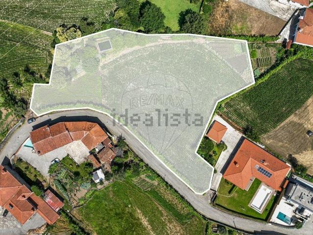 Terreno, Espinho