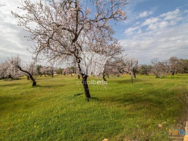 Terreno Estoi Faro | 26063925506