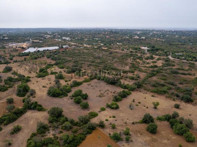 Terreno, Estoi