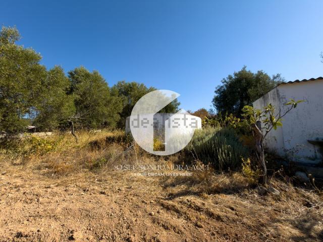 Terreno, Estoi
