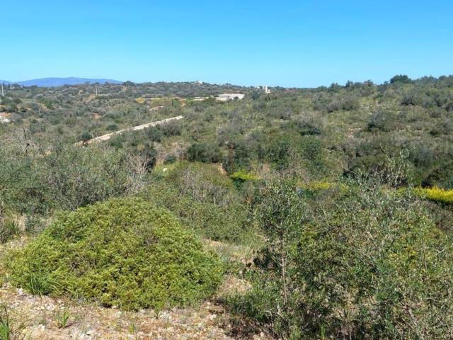 Terreno, Estômbar e Parchal