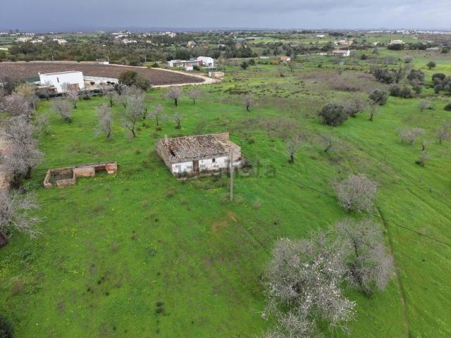 Terreno, Estômbar e Parchal