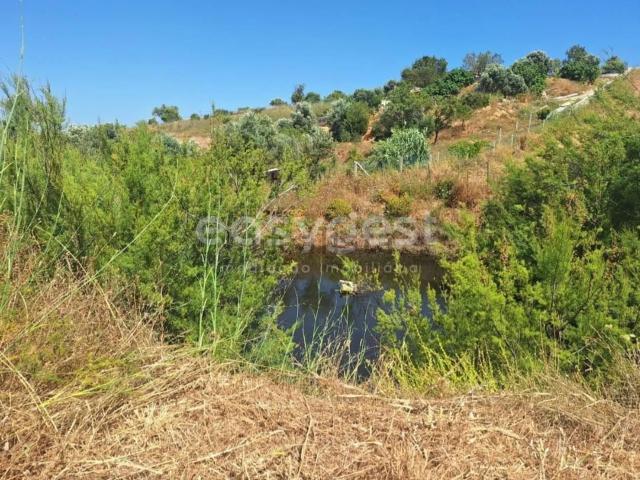 Terreno, Estômbar e Parchal