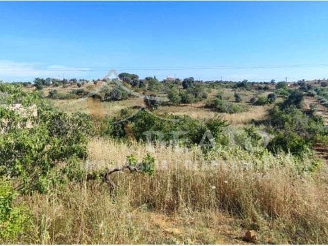 Terreno, Estômbar e Parchal, Lagoa Algarve | BPI Expresso Imobiliário