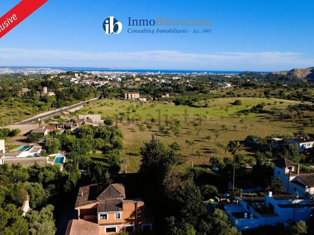Terreno, Establiments, Palma de Mallorca
