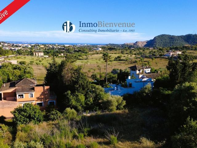Terreno, Establiments, Palma de Mallorca