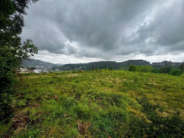 Terreno, Este São Pedro e São Mamede