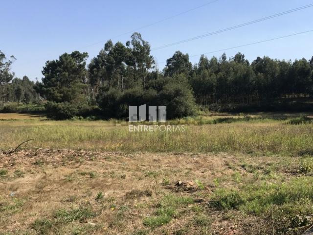 Terreno, Estela