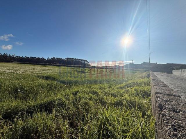 Terreno, Estela