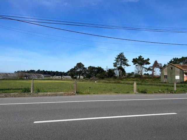 Terreno, Estela