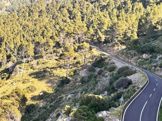 Terreno, Estellencs
