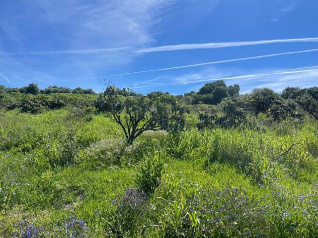 Terreno, Estepona