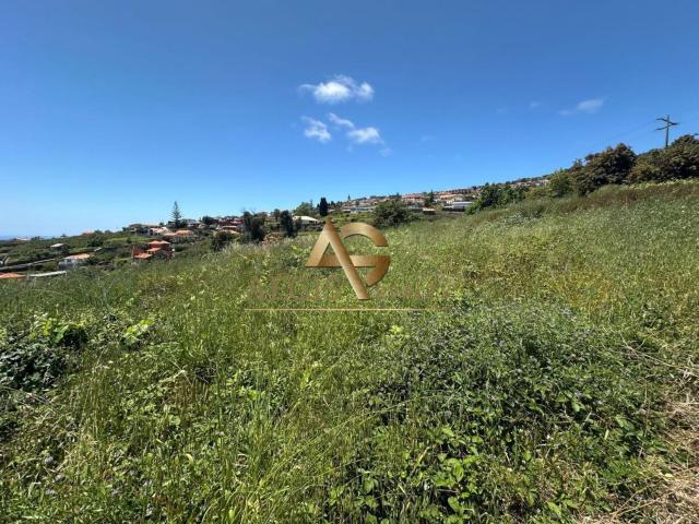 Terreno, Estreito da Calheta, Calheta Madeira | BPI Expresso Imobiliário