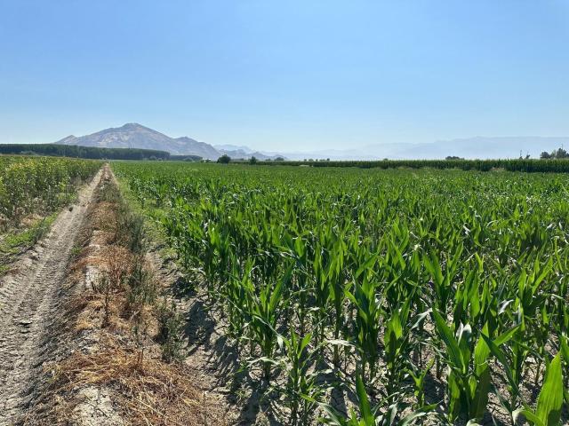Terreno, Fuente Vaqueros