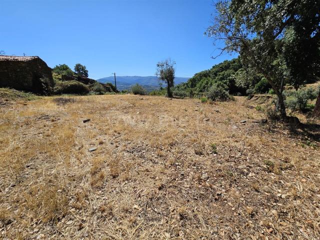 Terreno / Fundão, Telhado