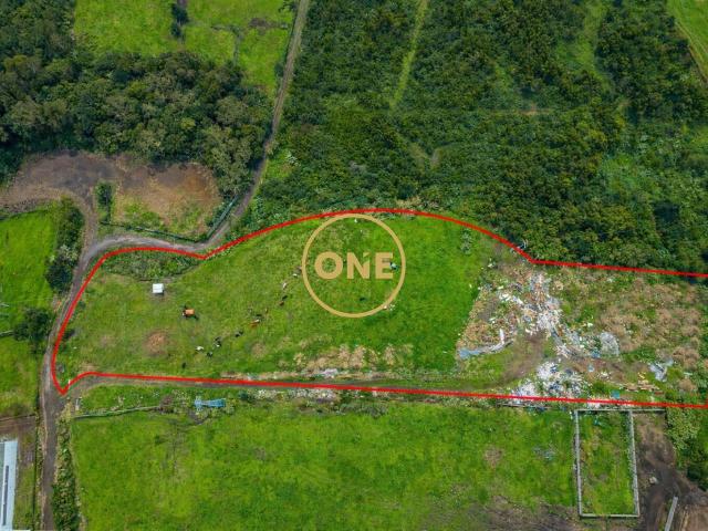 Terreno, Fajã de Cima, Ponta Delgada | BPI Expresso Imobiliário