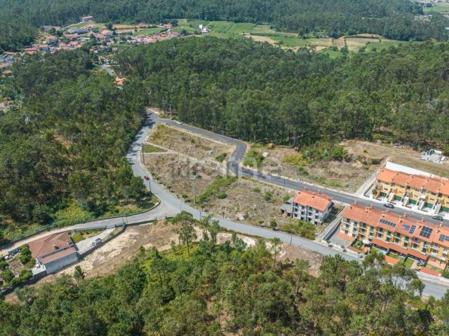 Terreno, Fajões